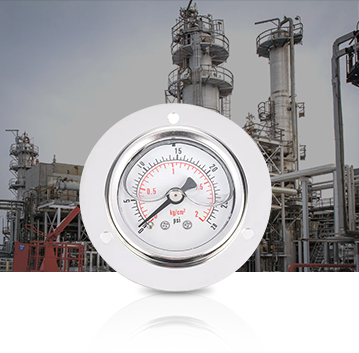 Petrokemisk industri Pressure Gauges