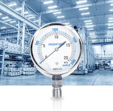 Industriel produktionsindustri Pressure Gauges